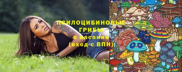 гидропоника Алзамай
